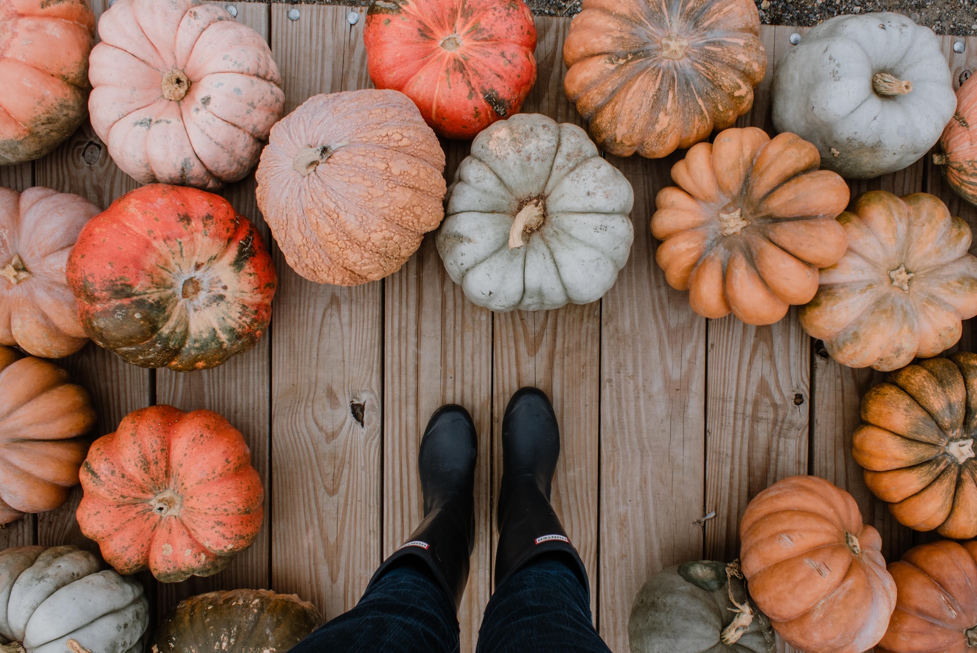 Create, No-Carve Ways to Decorate a Pumpkin in Your Washington DC Apartment