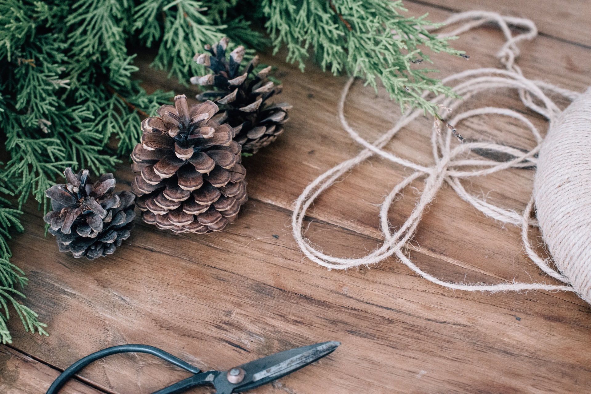 Unconventional Holiday Decor You Can DIY at Your Apartment in DC Today