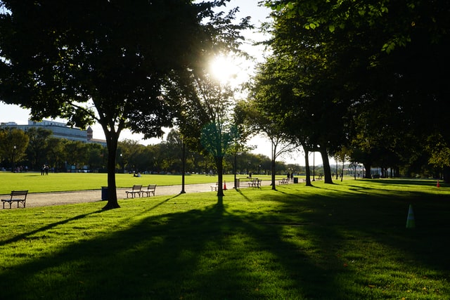 Experience International Cultures at the Smithsonian Folklife Festival  Near Our D.C. Apartments