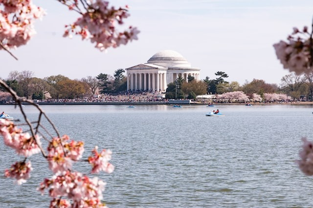 St. Patrick’s Day in DC and Spring Cleaning